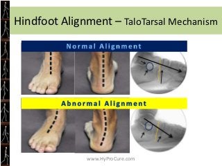• Obesity leads to many
  other health problems
• We have to eliminate
  obesity in order to treat
  these other diseases,...