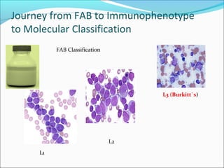 Pediatric Oncology | PPT