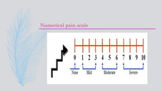 Numeric Pain Scale Explained Pdf pediatric pain assessment and management.pptx