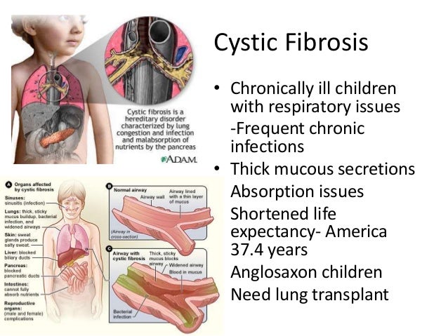 Pediatric Term Review