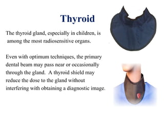 Thyroid
The thyroid gland, especially in children, is
among the most radiosensitive organs.
Even with optimum techniques, the primary
dental beam may pass near or occasionally
through the gland. A thyroid shield may
reduce the dose to the gland without
interfering with obtaining a diagnostic image.
 