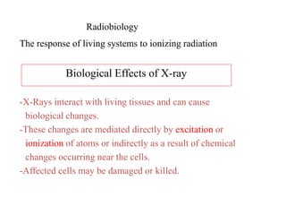 Radiobiology
The response of living systems to ionizing radiation
-X-Rays interact with living tissues and can cause
biological changes.
-These changes are mediated directly by excitation or
ionization of atoms or indirectly as a result of chemical
changes occurring near the cells.
-Affected cells may be damaged or killed.
Biological Effects of X-ray
 