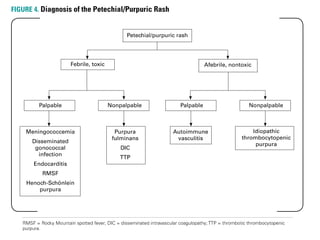 Pediatric rashes | PPTX