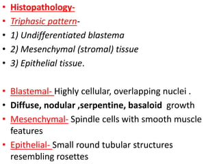 • Histopathology-
• Triphasic pattern-
• 1) Undifferentiated blastema
• 2) Mesenchymal (stromal) tissue
• 3) Epithelial tissue.
• Blastemal- Highly cellular, overlapping nuclei .
• Diffuse, nodular ,serpentine, basaloid growth
• Mesenchymal- Spindle cells with smooth muscle
features
• Epithelial- Small round tubular structures
resembling rosettes
 
