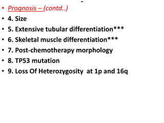 • Prognosis – (contd..)
• 4. Size
• 5. Extensive tubular differentiation***
• 6. Skeletal muscle differentiation***
• 7. Post-chemotherapy morphology
• 8. TP53 mutation
• 9. Loss Of Heterozygosity at 1p and 16q
 