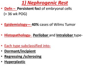 1) Nephrogenic Rest
• Defn – Persistent foci of embryonal cells
(> 36 wk POG)
• Epidemiology— 40% cases of Wilms Tumor
• Histopathology- Perilobar and Intralobar type-
• Each type subclassified into-
• Dormant/incipient
• Regressing /sclerosing
• Hyperplastic
 