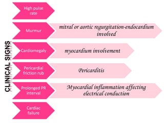 High pulse
rate
Murmur
mitral or aortic regurgitation-endocardium
involved
Cardiomegaly myocardium involvement
Pericardial
friction rub
Pericarditis
Prolonged PR
interval
Myocardial inflammation affecting
electrical conduction
Cardiac
failure
 