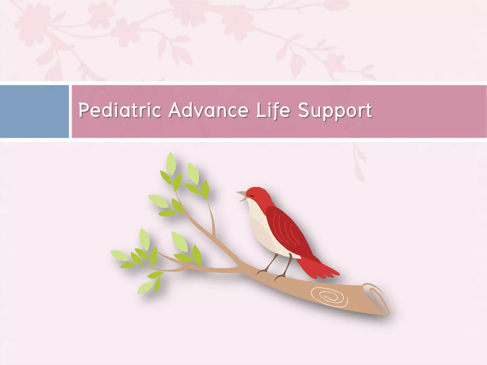 Pediatric Advance Life Support
 