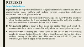 Superficial reflexes:
Segmental reflex responses that indicate integrity of cutaneous innervations and the
corresponding motor outflow and include corneal, conjunctival, abdominal,
cremasteric, anal wink, plantar reflexes.
A. Abdominal reflexes can be elicited by drawing a line away from the umbilicus
along the diagnonals of the 4 quadrants of the abdomen. Normally, the umbilicus
is drawn toward the direction of the line that is drawn
B. Cremasteric reflex : Draw a line along the medial thigh and watch the
movement of the scrotum in males. Normally, elevation in the ipsilateral testes.
C. Plantar reflex : Stroking the lateral aspect of the sole of the foot normally
results in plantar flexion. Babinski reflex is dorsiflexion of the big toe with or
without fanning of the other toes. This may be normal till 2.5 years old
otherwise, it is seen in upper motor neuron lesions.
REFLEXES
 