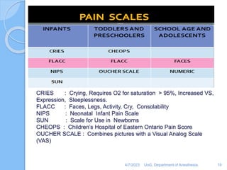 pediatrics pain management.pptx