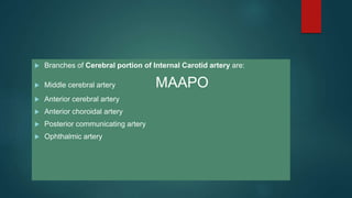  Branches of Cerebral portion of Internal Carotid artery are:
 Middle cerebral artery MAAPO
 Anterior cerebral artery
 Anterior choroidal artery
 Posterior communicating artery
 Ophthalmic artery
 