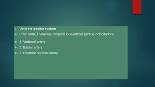  Vertebro basilar system
 Brain stem, Thalamus, temporal lobe-inferior portion, occipital lobe
 1. Vertebral artery
 2. Basilar artery
 3. Posterior cerebral artery
 