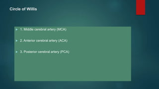 Circle of Willis
 1. Middle cerebral artery (MCA)
 2. Anterior cerebral artery (ACA)
 3. Posterior cerebral artery (PCA)
 