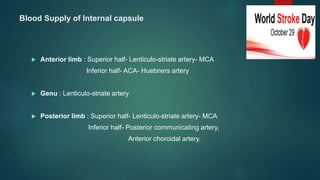 Blood Supply of Internal capsule
 Anterior limb : Superior half- Lenticulo-striate artery- MCA
Inferior half- ACA- Huebners artery
 Genu : Lenticulo-striate artery
 Posterior limb : Superior half- Lenticulo-striate artery- MCA
Inferior half- Posterior communicating artery,
Anterior choroidal artery.
 