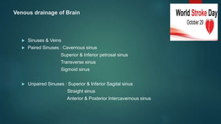 Venous drainage of Brain
 Sinuses & Veins
 Paired Sinuses : Cavernous sinus
Superior & Inferior petrosal sinus
Transverse sinus
Sigmoid sinus
 Unpaired Sinuses : Superior & Inferior Sagital sinus
Straight sinus
Anterior & Posterior Intercavernous sinus
 
