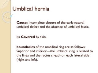 Umblical hernia
Cause: Incomplete closure of the early natural
umbilical defect and the absence of umbilical fascia.
Its Covered by skin.
boundaries of the umbilical ring are as follows:
Superior and inferior—the umbilical ring is related to
the linea and the rectus sheath on each lateral side
(right and left).
 