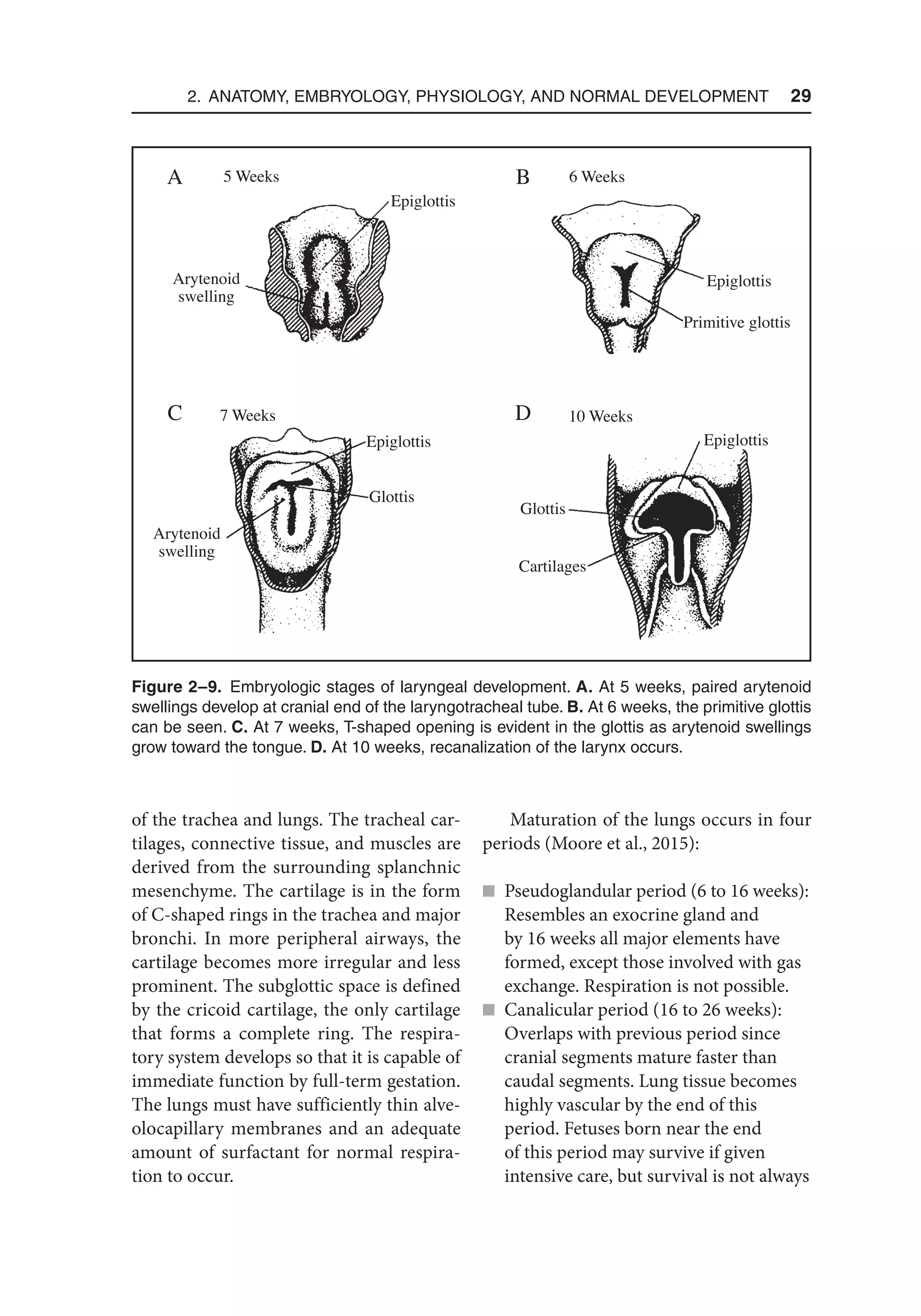 Pediatric_Swallowing_and_Feeding_Assessment_and_Management,_Third.pdf