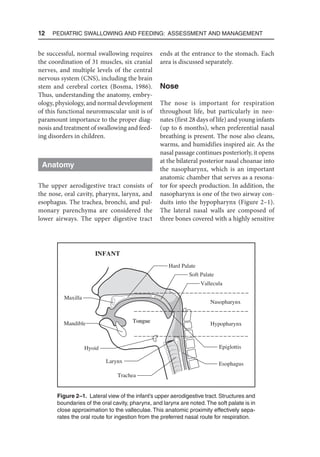 12  Pediatric Swallowing and Feeding: Assessment and Management
be successful, normal swallowing requires
the coordination of 31 muscles, six cranial
nerves, and multiple levels of the central
nervous system (CNS), including the brain
stem and cerebral cortex (Bosma, 1986).
Thus, understanding the anatomy, embry-
ology, physiology, and normal development
of this functional neuromuscular unit is of
paramount importance to the proper diag-
nosis and treatment of swallowing and feed-
ing disorders in children.
Anatomy
The upper aerodigestive tract consists of
the nose, oral cavity, pharynx, larynx, and
esophagus. The trachea, bronchi, and pul-
monary parenchyma are considered the
lower airways. The upper digestive tract
ends at the entrance to the stomach. Each
area is discussed separately.
Nose
The nose is important for respiration
throughout life, but particularly in neo-
nates (first 28 days of life) and young infants
(up to 6 months), when preferential nasal
breathing is present. The nose also cleans,
warms, and humidifies inspired air. As the
nasal passage continues posteriorly, it opens
at the bilateral posterior nasal choanae into
the nasopharynx, which is an important
anatomic chamber that serves as a resona-
tor for speech production. In addition, the
nasopharynx is one of the two airway con-
duits into the hypopharynx (Figure 2–1).
The lateral nasal walls are composed of
three bones covered with a highly sensitive
INFANT
Tongue
Maxilla
Mandible
Hyoid
Larynx
Trachea
Tongue
Esophagus
Epiglottis
Hypopharynx
Nasopharynx
Vallecula
Soft Palate
Hard Palate
Figure 2–1. Lateral view of the infant’s upper aerodigestive tract. Structures and
boundaries of the oral cavity, pharynx, and larynx are noted.The soft palate is in
close approximation to the valleculae. This anatomic proximity effectively sepa-
rates the oral route for ingestion from the preferred nasal route for respiration.
 