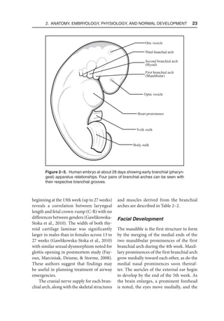 2. Anatomy, Embryology, Physiology, and Normal Development  23
beginning at the 13th week (up to 27 weeks)
reveals a correlation between laryngeal
length and fetal crown-rump (C-R) with no
differences between genders (Gawlikowska-
Stoka et al., 2010). The width of both thy-
roid cartilage laminae was significantly
larger in males than in females across 13 to
27 weeks (Gawlikowska-Stoka et al., 2010)
with similar sexual dysmorphism noted for
glottis opening in postmortem study (Fay-
oux, Marciniak, Deisme,  Storme, 2008).
These authors suggest that findings may
be useful in planning treatment of airway
emergencies.
The cranial nerve supply for each bran-
chial arch, along with the skeletal structures
and muscles derived from the branchial
arches are described in Table 2–2.
Facial Development
The mandible is the first structure to form
by the merging of the medial ends of the
two mandibular prominences of the first
branchial arch during the 4th week. Maxil-
lary prominences of the first branchial arch
grow medially toward each other, as do the
medial nasal prominences soon thereaf-
ter. The auricles of the external ear begin
to develop by the end of the 5th week. As
the brain enlarges, a prominent forehead
is noted, the eyes move medially, and the
Heart prominence
Yolk stalk
Body stalk
Otic vesicle
Third branchial arch
Second branchial arch
(Hyoid)
First branchial arch
(Mandibular)
Optic vesicle
Figure 2–5. Human embryo at about 28 days showing early branchial (pharyn-
geal) apparatus relationships. Four pairs of branchial arches can be seen with
their respective branchial grooves.
 
