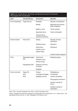 24
Table 2–2. Cranial Nerves, Structures, and Muscles Derived From Branchial
(Pharyngeal) Arch Components
Arch Cranial Nerves Structures Muscles
First (mandibular) Trigeminal (V) Mandible Muscles of mastication
Maxilla Mylohyoid and anterior
belly of digastric
Malleus, incus Tensor tympani
Zygomatic bone Tensor veli palatini
Temporal bone
(squamous portion)
Second (hyoid) Facial (VII) Stapes Muscles of facial
expression
Styloid process Stapedius
Hyoid bone
(Lesser cornu)
(Upper body)
Stylohyoid
Posterior belly of digastric
Third Glossopharyngeal
(IX)
Hyoid bone
(Greater cornu)
(Inferior body)
Stylopharyngeus
Hypoglossal (XII) Posterior one-third
of tongue
Epiglottis
Fourth and sixth Vagus (X)
SLN
RLN
Tongue
Laryngeal cartilages
Epiglottis (fourth)
Palatoglossus
Cricothyroid
Levator veli palatini
Pharyngeal constrictors
Intrinsic muscles of
larynx
Striated muscles of
esophagus
Note. RLN = recurrent laryngeal nerve; SLN = superior laryngeal nerve.
Source: Adapted from Structures derived from pharyngeal arch components. In K. L. Moore (Ed.), The
developing human (10th ed., p. 160). Philadelphia, PA: Elsevier, 2015.
 