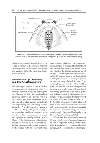 26  Pediatric Swallowing and Feeding: Assessment and Management
1969). As the jaws and the neck develop, the
tongue descends and occupies a relatively
smaller space in the oral cavity. The tongue
also develops from the third and fourth
branchial arches.
Prenatal Sucking, Swallowing,
and Breathing Development
The pharyngeal swallow is one of the first
motor responses in the pharynx. It has been
reported between 10 and 14 weeks’ gesta-
tion (Humphry, 1970). Pharyngeal swallows
have been observed in delivered fetuses at
12.5 weeks’ gestation (Humphry, 1970).
Ultrasound studies reveal nonnutritive
suckling/sucking and swallowing in most
fetuses by 15 weeks’ gestation (Moore et
al., 2015). Sucking, suckling, and sucking act
are terms often used interchangeably in the
literature to describe mouthing movements
and ingestion of food by infants (Wolf 
Glass, 1992). Suckling, the earliest intake
pattern for liquids, is characterized by a
definite backward and forward movement
of the tongue, with the backward phase
more pronounced (Figure 2–8). In contrast,
sucking begins to emerge at four months of
age, and involves more of an up and down
movement of the tongue and active use of
the lips. A suckling response may be elic-
ited at this stage as noted by the finding that
stroking the lips yields suckling responses
in spontaneously aborted fetuses. True
suckling begins around the 18th to the 24th
week. Self-oral-facial stimulation precedes
suckling and swallowing with consistent
swallowing seen by 22 to 24 weeks’ gesta-
tion (Miller, Sonies,  Macedonia, 2003).
Tongue protrusion does not extend beyond
the border of the lips (Morris  Klein, 1987).
By the 34th week, most healthy fetuses, if
born at that time, can suckle and swallow
well enough to sustain nutritional needs via
the oral route. Some infants appear coordi-
nated enough to begin oral feedings by 32 to
33 weeks’ gestation (Cagan, 1995).
Infants born late preterm (between 34
0/7 and 36 6/7 weeks of gestation), account
for 70% of all preterm births (Davidoff et al.,
2006; Dong  Yu, 2011; Loftin et al., 2010;
Perugu, 2010). The incidence of late pre-
Philtrum
Upper lip
Choanae
Nasal septum
Nostril
Primary palate
(Premaxilla)
Lateral
palatine
process
Figure 2–7. Palatal development from anterior to posterior.The lateral processes fuse
to form most of the hard and soft palate, completed by 9 and 12 weeks, respectively.
 