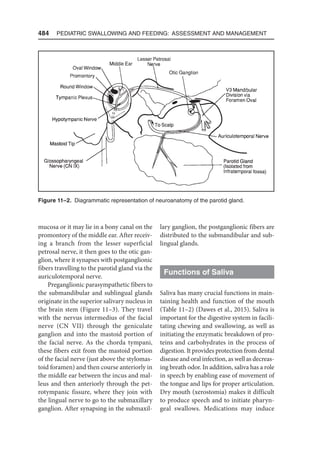 Pediatric_Swallowing_and_Feeding_Assessment_and_Management,_Third.pdf