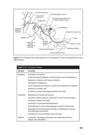 Pediatric_Swallowing_and_Feeding_Assessment_and_Management,_Third.pdf