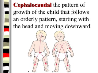 CephalocaudalCephalocaudal the pattern of
growth of the child that follows
an orderly pattern, starting with
the head and moving downward.
 