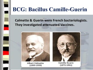 BCG: Bacillus Camille-Guerin
 