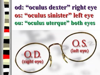 od: “oculus dexter”od: “oculus dexter” right eyeright eye
os: “oculus sinister” left eyeos: “oculus sinister” left eye
ou: “oculus uterque”ou: “oculus uterque” both eyesboth eyes
 