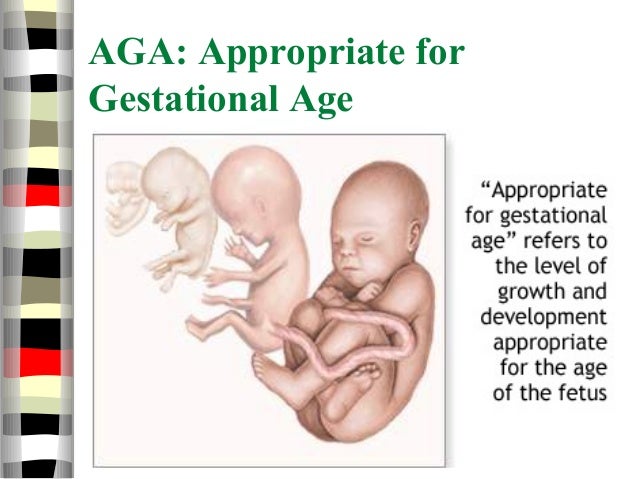 A G E Medical Term Shakal Blog