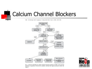 Calcium Channel Blockers 