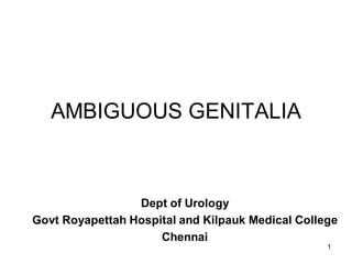 AMBIGUOUS GENITALIA
Dept of Urology
Govt Royapettah Hospital and Kilpauk Medical College
Chennai
1
 