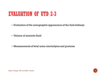 Pediatric urology Management Of Antenatal Hydroureteronephrosis | PDF