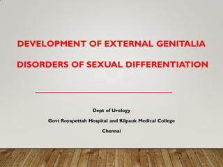 Dept of Urology
Govt Royapettah Hospital and Kilpauk Medical College
Chennai
DEVELOPMENT OF EXTERNAL GENITALIA
DISORDERS OF SEXUAL DIFFERENTIATION
 