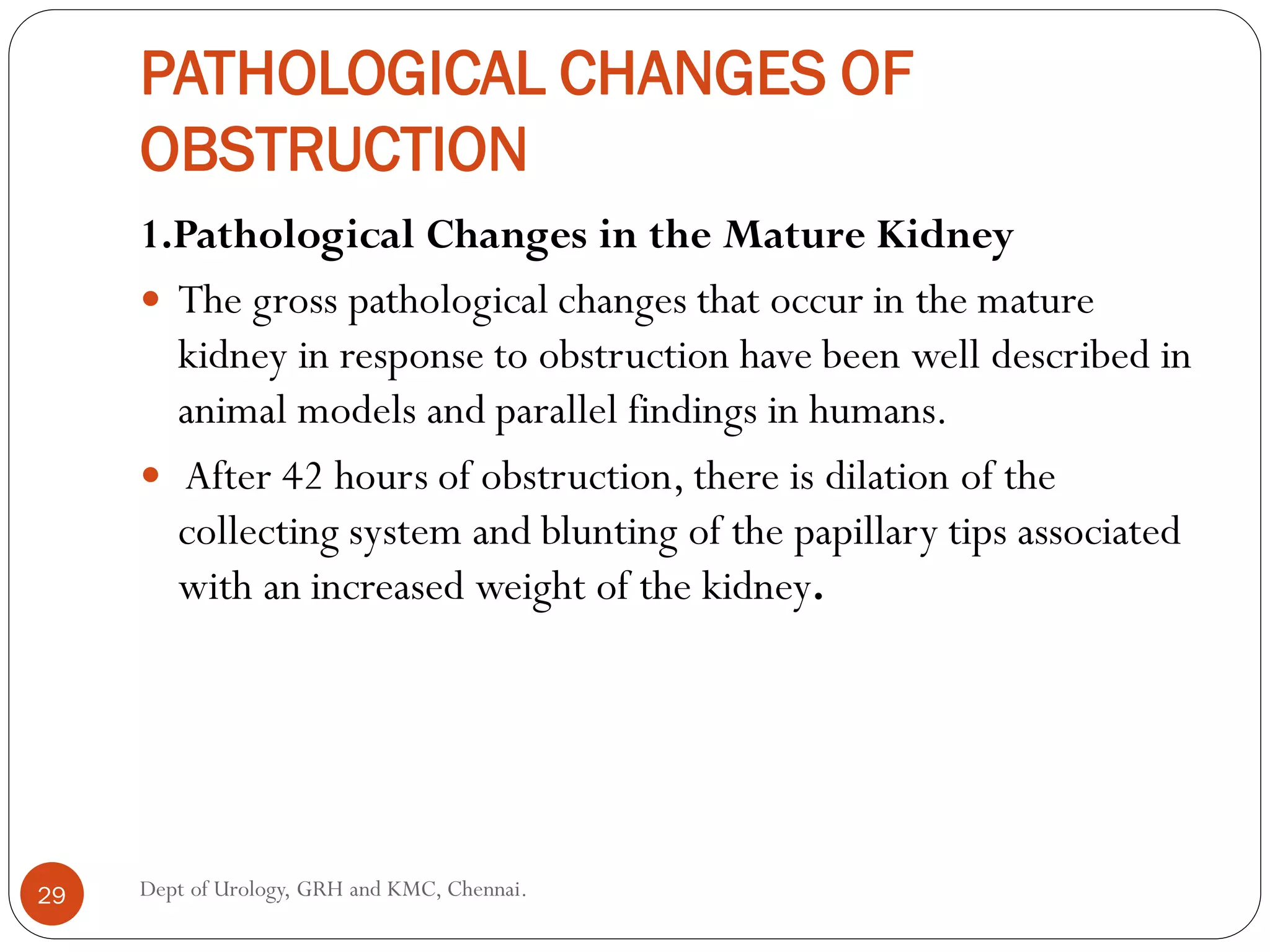PATHOLOGICAL CHANGES OF
OBSTRUCTION
1.Pathological Changes in the Mature Kidney
 The gross pathological changes that occur in the mature
kidney in response to obstruction have been well described in
animal models and parallel findings in humans.
 After 42 hours of obstruction, there is dilation of the
collecting system and blunting of the papillary tips associated
with an increased weight of the kidney.
29 Dept of Urology, GRH and KMC, Chennai.
 