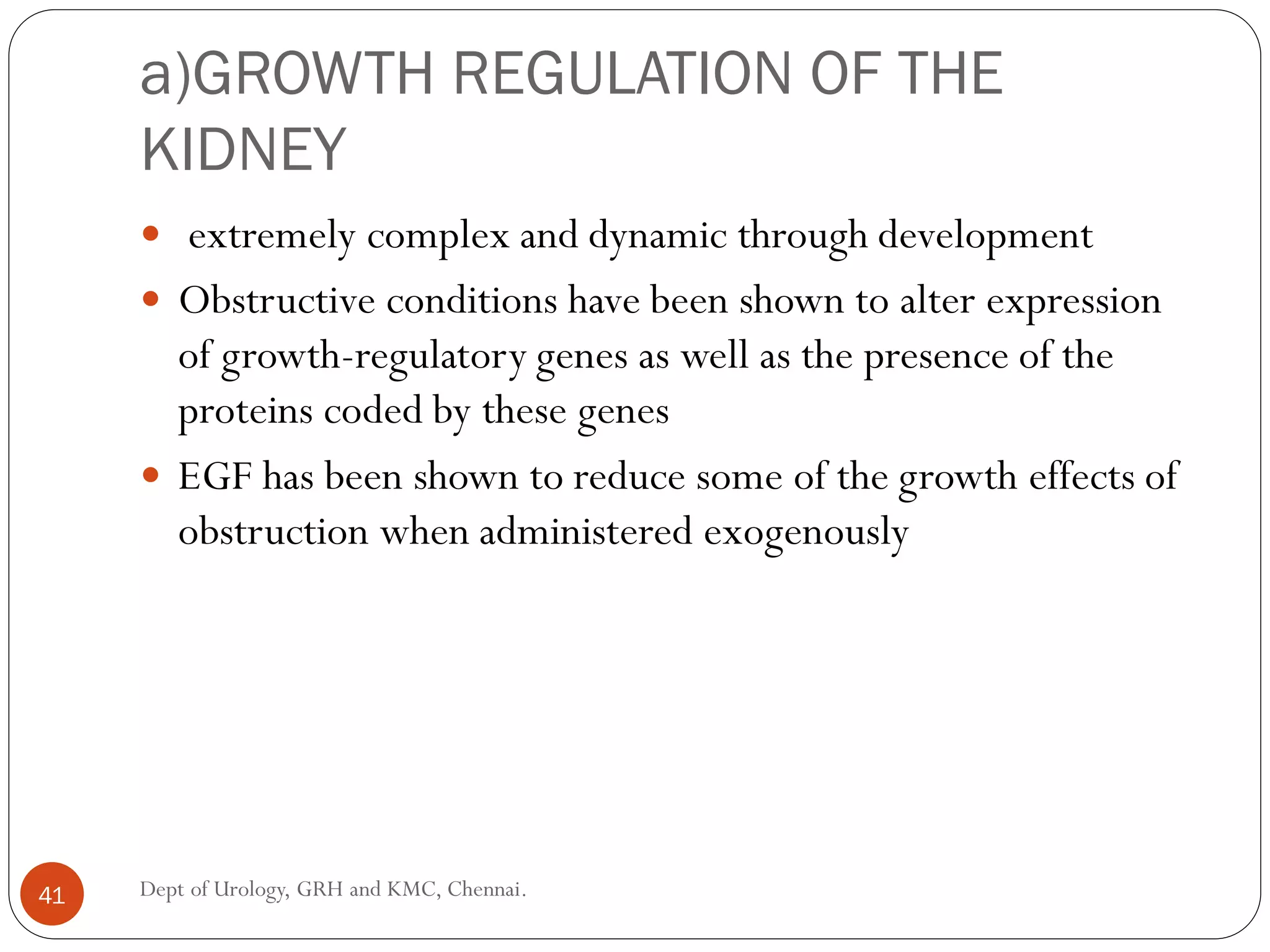 a)GROWTH REGULATION OF THE
KIDNEY
 extremely complex and dynamic through development
 Obstructive conditions have been shown to alter expression
of growth-regulatory genes as well as the presence of the
proteins coded by these genes
 EGF has been shown to reduce some of the growth effects of
obstruction when administered exogenously
41 Dept of Urology, GRH and KMC, Chennai.
 
