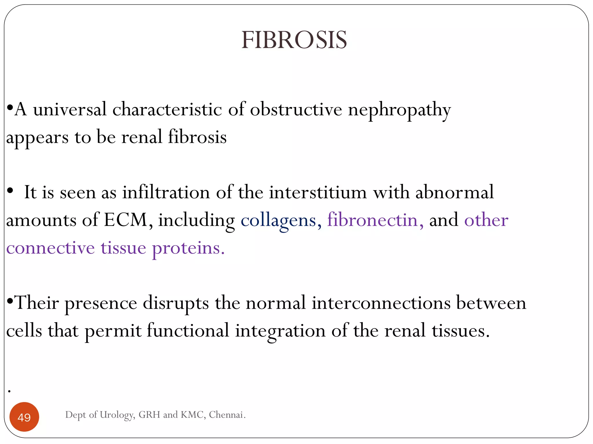 FIBROSIS
•A universal characteristic of obstructive nephropathy
appears to be renal fibrosis
• It is seen as infiltration of the interstitium with abnormal
amounts of ECM, including collagens, fibronectin, and other
connective tissue proteins.
•Their presence disrupts the normal interconnections between
cells that permit functional integration of the renal tissues.
.
49 Dept of Urology, GRH and KMC, Chennai.
 