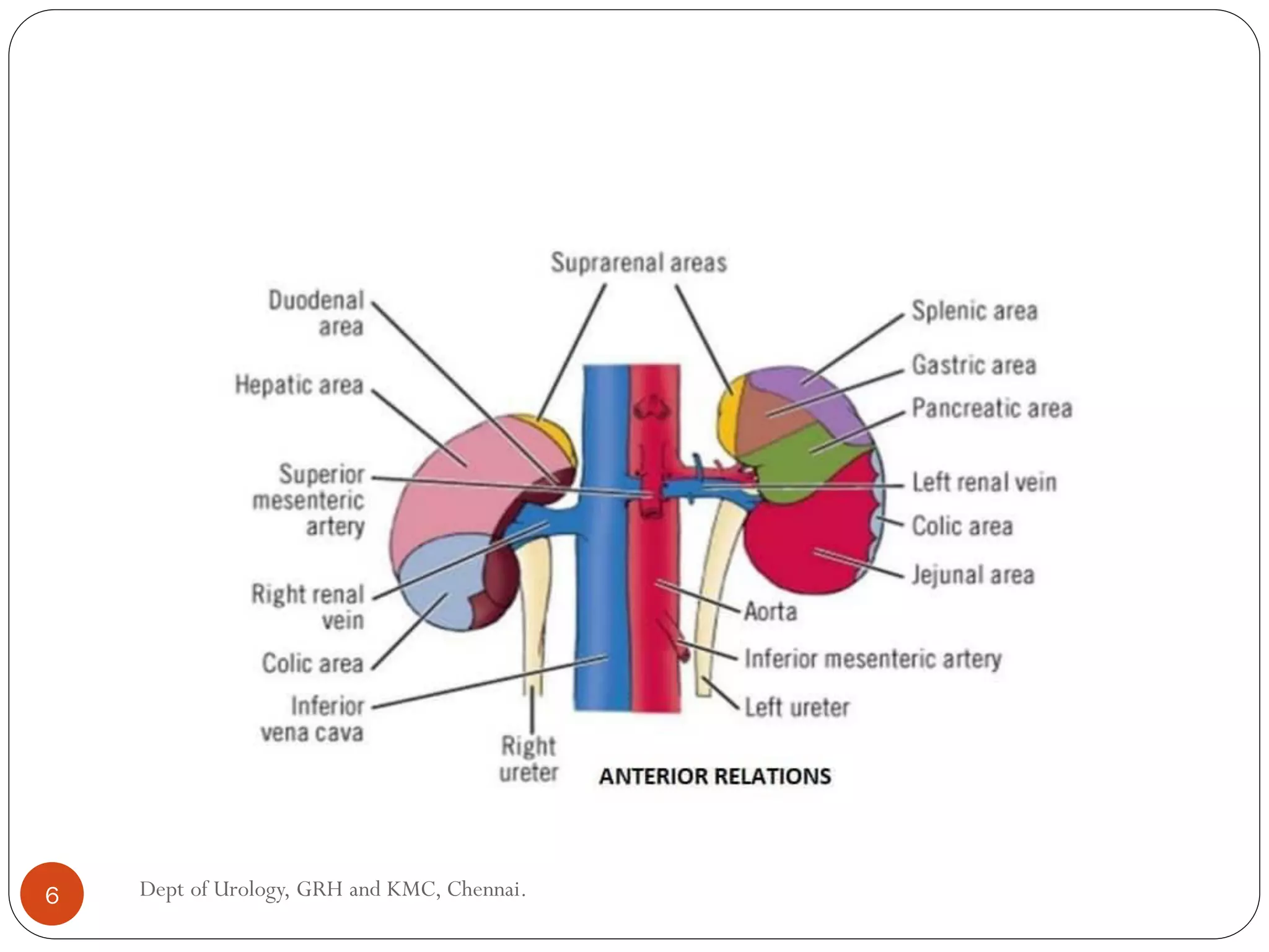 6 Dept of Urology, GRH and KMC, Chennai.
 