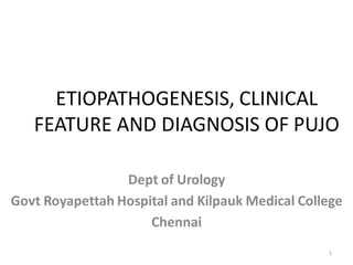 ETIOPATHOGENESIS, CLINICAL
FEATURE AND DIAGNOSIS OF PUJO
Dept of Urology
Govt Royapettah Hospital and Kilpauk Medical College
Chennai
1
 