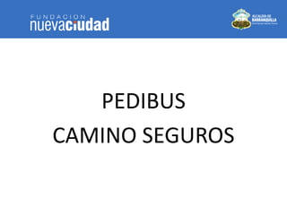 PEDIBUS 
CAMINO SEGUROS 
 