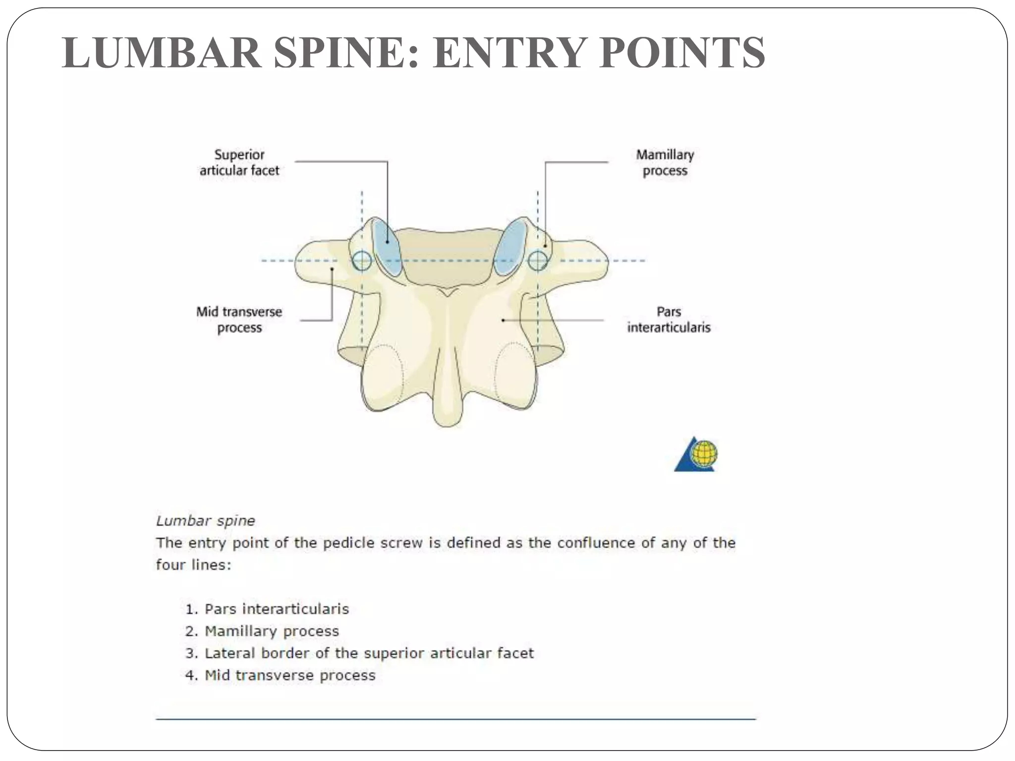 pedicle-screws-fixation-of-thoraco-lumbar-spine-pptx