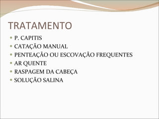 TRATAMENTO P. CAPITIS CATAÇÃO MANUAL PENTEAÇÃO OU ESCOVAÇÃO FREQUENTES AR QUENTE RASPAGEM DA CABEÇA SOLUÇÃO SALINA 