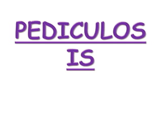 PEDICULOSIS 