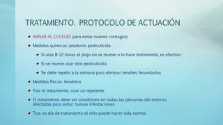 TRATAMIENTO. PROTOCOLO DE ACTUACIÓN 
AVISAR AL COLEGIO para evitar nuevos contagios 
Medidas químicas: producto pediculicida 
Si alas 8-12 horas el piojo no se mueve o lo hace lentamente, es efectivo. 
Si se mueve usar otro pediculicida 
Se debe repetir a la semana para eliminar liendres fecundadas 
Medidas físicas: liendrera 
Tras el tratamiento, usar un repelente 
El tratamiento debe ser simultáneo en todas las personas del entorno 
afectadas para evitar nuevas infestaciones 
Tras un día de tratamiento el niño puede hacer vida normal 
 