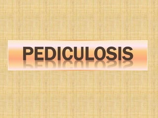 PEDICULOSIS
 