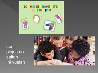 Los
piojos no
saltan
ni vuelan
 