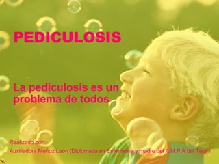 PEDICULOSIS La pediculosis es un problema de todos Auxiliadora Muñoz León (Diplomada en Enfermería y madre del A.M.P.A del Tejar) Realizado por: 