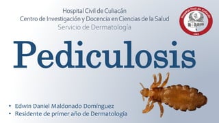 • Edwin Daniel Maldonado Domínguez
• Residente de primer año de Dermatología
HospitalCivil deCuliacán
Centro de Investigación y Docencia enCiencias de laSalud
Servicio de Dermatología
Pediculosis
 