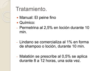Tratamiento.
 Manual: El peine fino
 Químico:
- Permetrina al 2,5% en loción durante 10
min.
- Lindano se comercializa al 1% en forma
de shampoo o loción, durante 10 min.
- Malatión se prescribe al 0,5% se aplica
durante 8 a 12 horas, una sola vez.
 